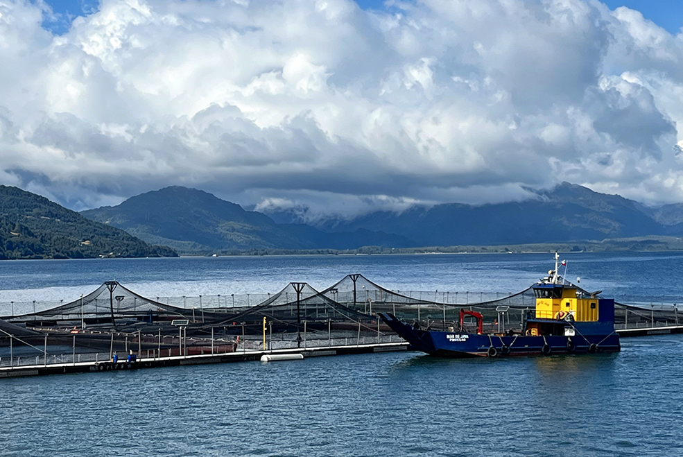 Open Marine Aquaculture Solution