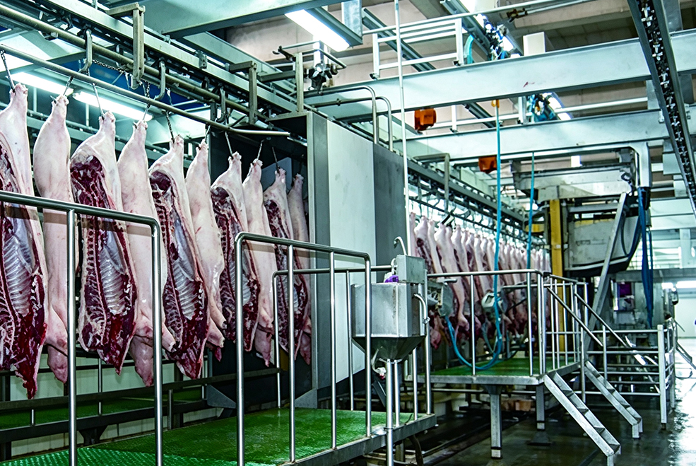 肉类加工车间出入口