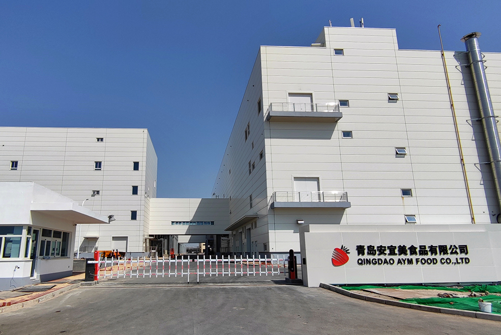 鲑鳟鱼类初加工系统